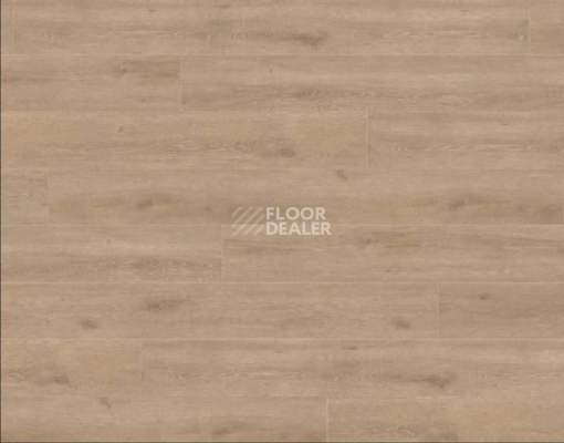 Ламинат Haro Tritty 100 Gran Via 4V ДУБ ВЕНЕТО КРЕМОВЫЙ 535269 фото 1 | FLOORDEALER